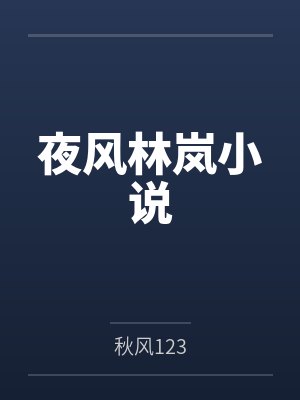 夜风林岚小说