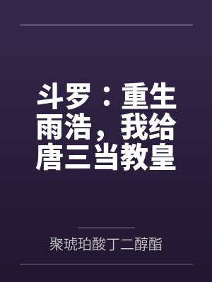 斗罗:重生雨浩,我给唐三当教皇