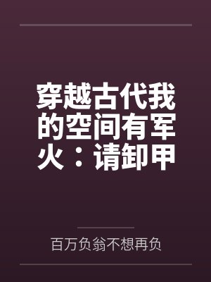 穿越古代我的空间有军火：请卸甲