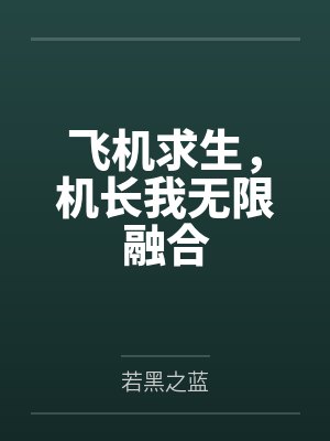 飞机求生,机长我无限融合