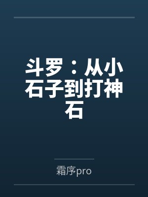 斗罗：从小石子到打神石