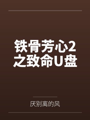 铁骨芳心2之致命U盘